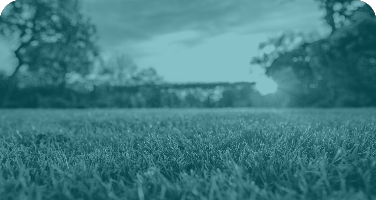 environmental-irritation